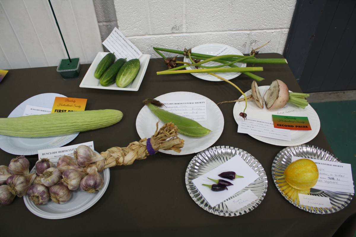 ../Images/Horticultural Show in Bunclody 2014--43.jpg